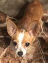 Peggy
