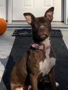 Winnie