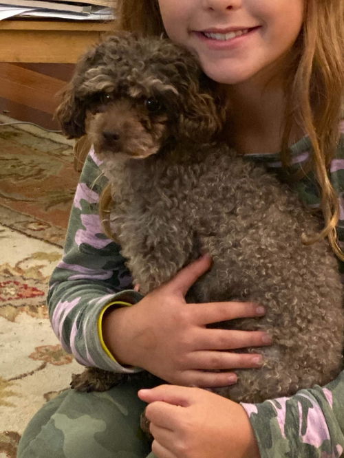 Charlee