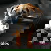 Pebbles
