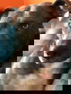 Gloria