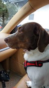 Gunther