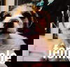 Releve