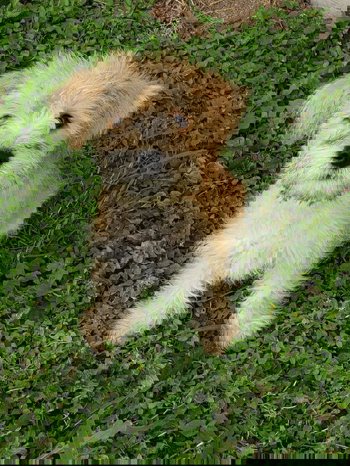 Kay