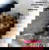 Kendra