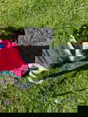 Leony