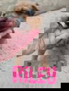 Riley