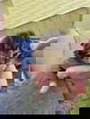 Ribbons