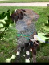 Gary