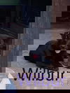 Wilbur