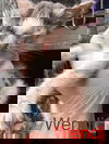Wendi