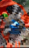 Osmand