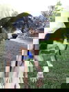 Osmand