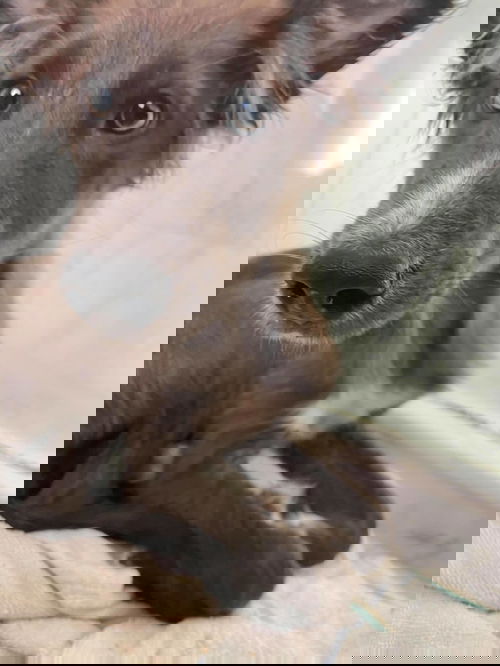Kernel