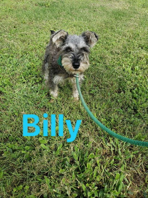 Billy (TX)