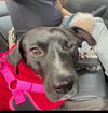 Pepper (TX)