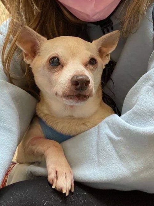 Leo (NY)