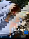 Carlin (AL)