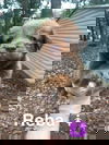 Reba (GA)