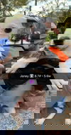 Janey (AL)