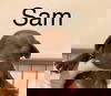 Sam (TX)