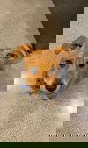 Sami (SC)