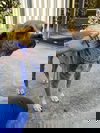 Wolfie (SC)