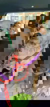 Wolfie (SC)
