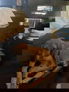 AJ (GA)