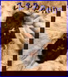 Zeppelin (TX)