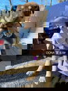 Oona (AL)