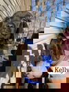 Kelly (AL)