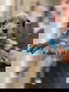 Kassie (AL)