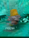 Hazel (SC)