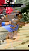 Fozzie (AL)