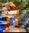 Jennie (GA)