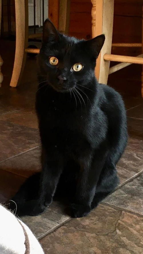 Sammy (NY)