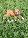 Lenny (TX)