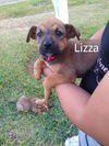 Lizza (TX)