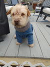 Whiskey (NC)