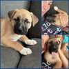 Parker (AL)