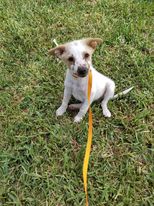 Ottis (TX)