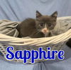 Sapphire (NY)