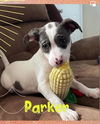 Parker (AL)