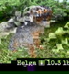 Helga (AL)