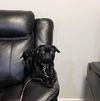Roxy (TX)