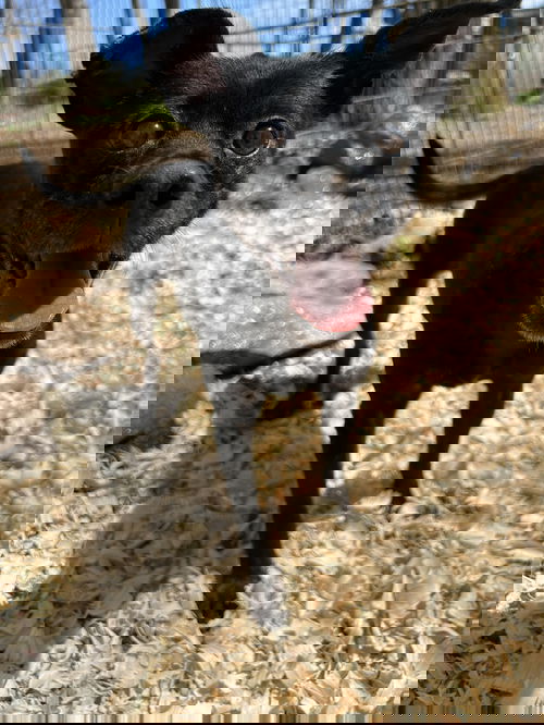 Zora (GA)