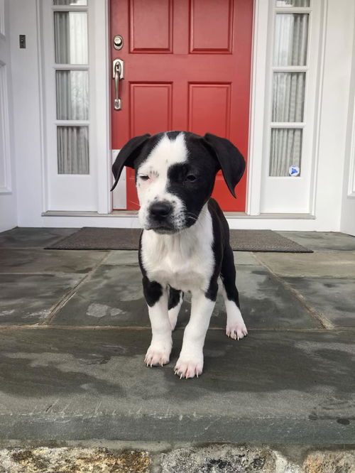 Frannie (GA)