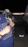 Bud (TX)