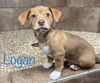 Logan (AL)